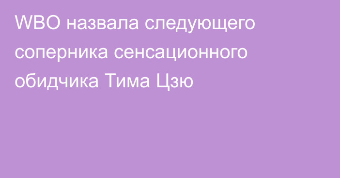 WBO назвала следующего соперника сенсационного обидчика Тима Цзю