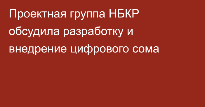 Проектная группа НБКР обсудила разработку и внедрение цифрового сома