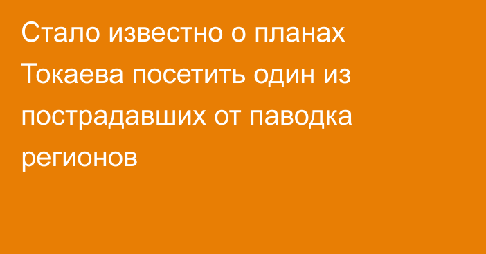 Стало известно о планах Токаева посетить один из пострадавших от паводка регионов