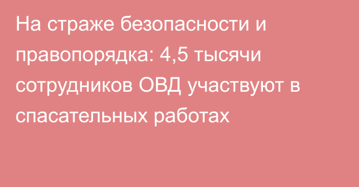 На страже безопасности и правопорядка: 4,5 тысячи сотрудников ОВД участвуют в спасательных работах