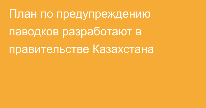 План по предупреждению паводков разработают в правительстве Казахстана