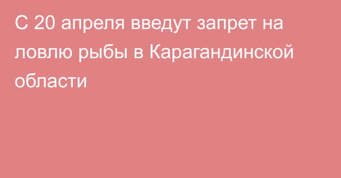 С 20 апреля введут запрет на ловлю рыбы в Карагандинской области