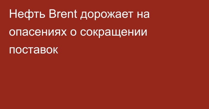 Нефть Brent дорожает на опасениях о сокращении поставок