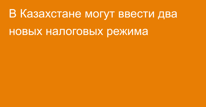 В Казахстане могут ввести два новых налоговых режима