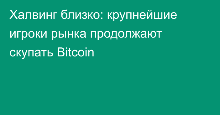 Халвинг близко: крупнейшие игроки рынка продолжают скупать Bitcoin