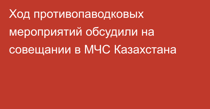 Ход противопаводковых мероприятий обсудили на совещании в МЧС Казахстана