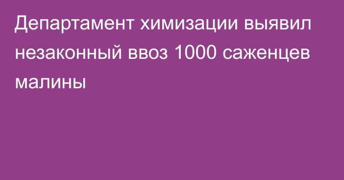 Департамент химизации выявил незаконный ввоз 1000 саженцев малины