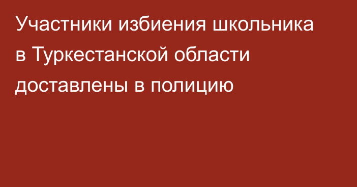 Участники избиения школьника в Туркестанской области доставлены в полицию