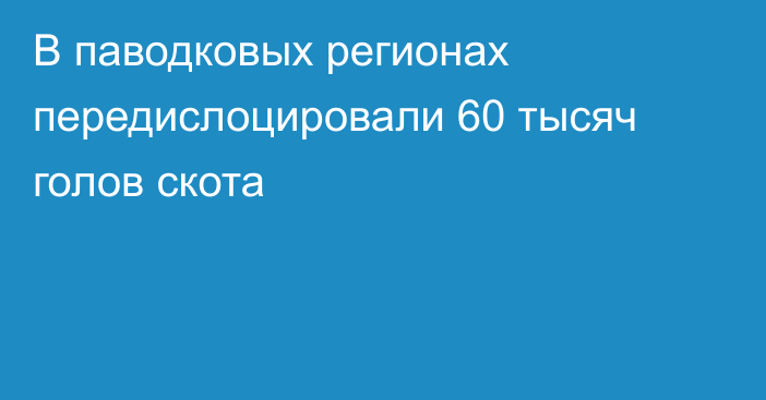 В паводковых регионах передислоцировали 60 тысяч голов скота