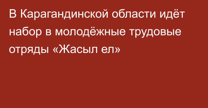 В Карагандинской области идёт набор в молодёжные трудовые отряды «Жасыл ел»