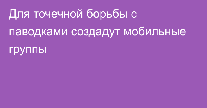 Для точечной борьбы с паводками создадут мобильные группы