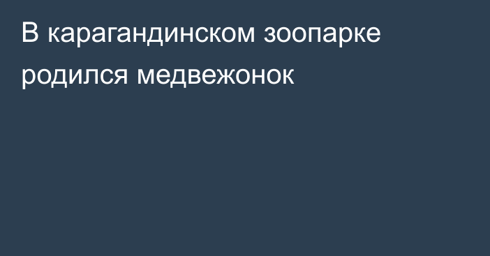 В карагандинском зоопарке родился медвежонок