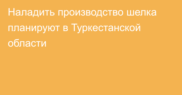 Наладить производство шелка планируют в Туркестанской области