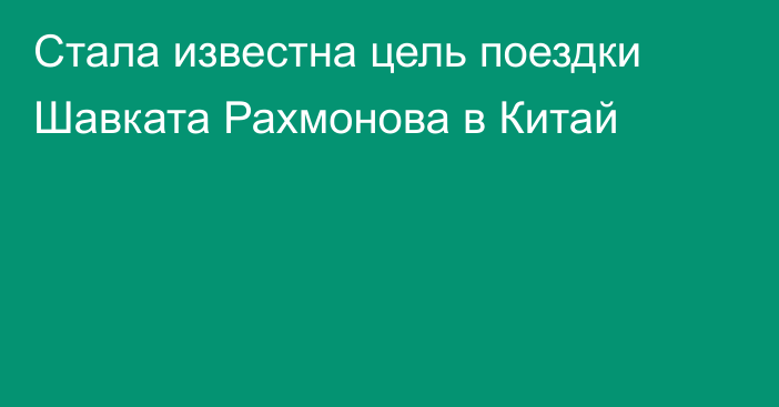 Стала известна цель поездки Шавката Рахмонова в Китай