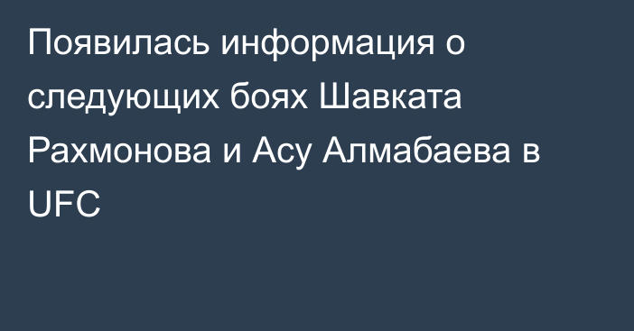 Появилась информация о следующих боях Шавката Рахмонова и Асу Алмабаева в UFC