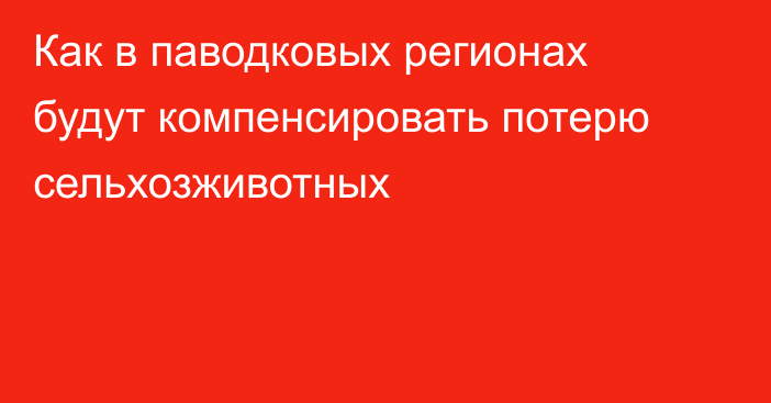 Как в паводковых регионах будут компенсировать потерю сельхозживотных