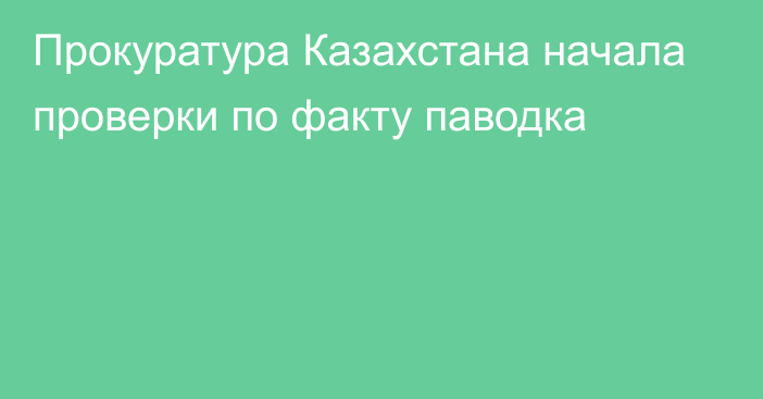 Прокуратура Казахстана начала проверки по факту паводка