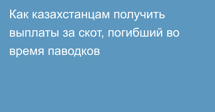 Как казахстанцам получить выплаты за скот, погибший во время паводков