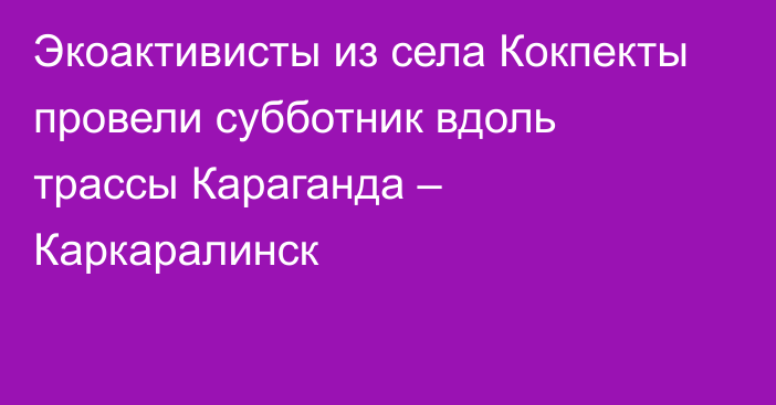 Экоактивисты из села Кокпекты провели субботник вдоль трассы Караганда – Каркаралинск