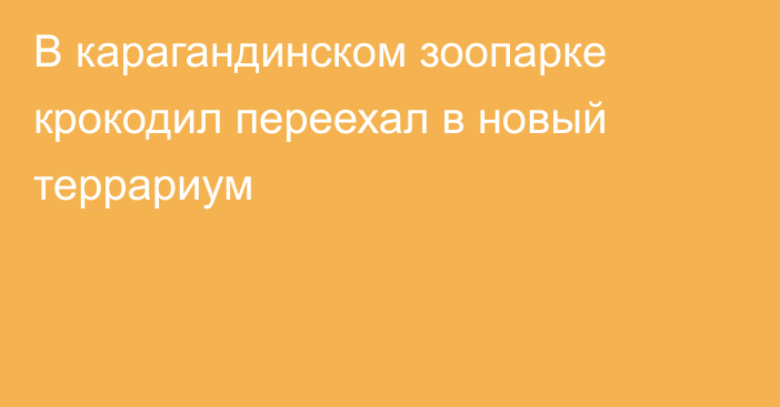 В карагандинском зоопарке крокодил переехал в новый террариум