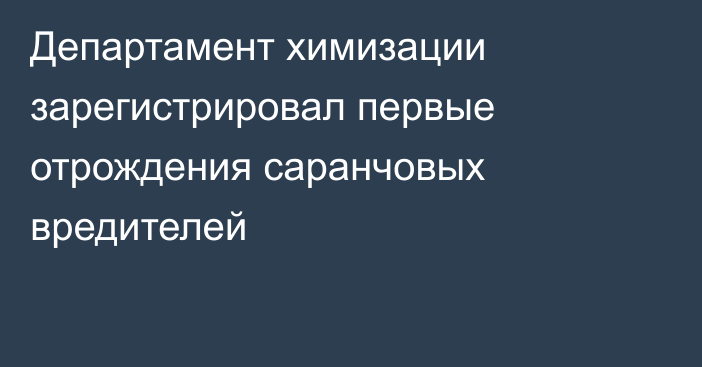 Департамент химизации зарегистрировал первые отрождения саранчовых вредителей