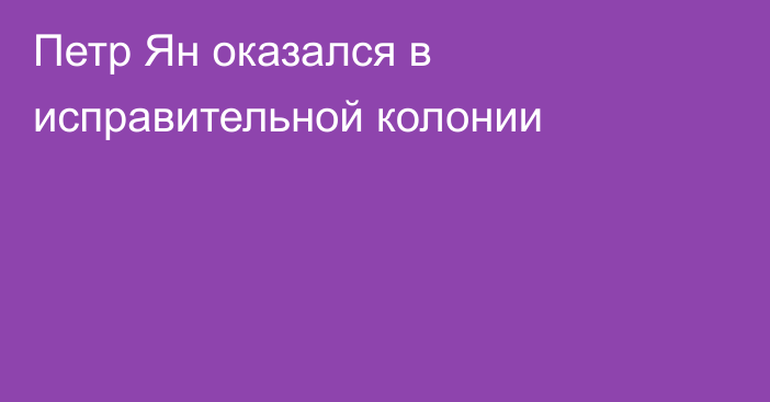 Петр Ян оказался в исправительной колонии