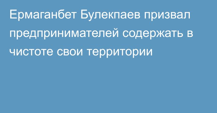 Ермаганбет Булекпаев призвал предпринимателей содержать в чистоте свои территории