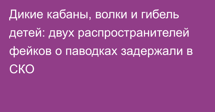 Дикие кабаны, волки и гибель детей: двух распространителей фейков о паводках задержали в СКО