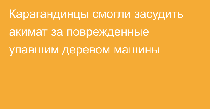 Карагандинцы смогли засудить акимат за поврежденные упавшим деревом машины