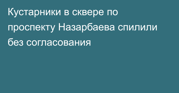 Кустарники в сквере по проспекту Назарбаева спилили без согласования