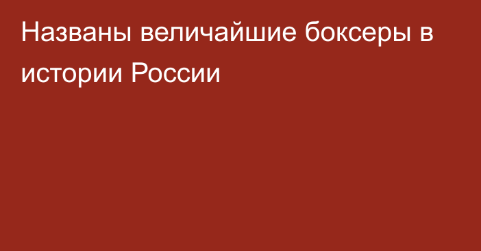 Названы величайшие боксеры в истории России