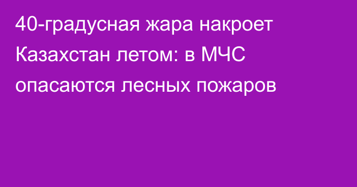 40-градусная жара накроет Казахстан летом: в МЧС опасаются лесных пожаров