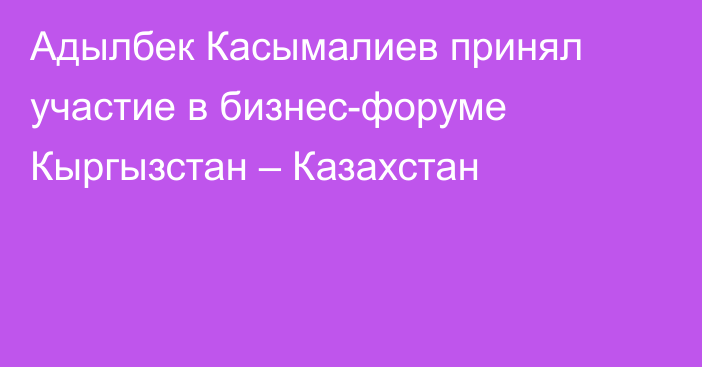 Адылбек Касымалиев принял участие в бизнес-форуме Кыргызстан – Казахстан