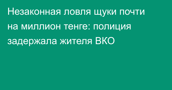 Незаконная ловля щуки почти на миллион тенге: полиция задержала жителя ВКО