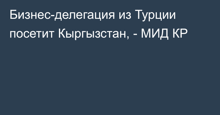 Бизнес-делегация из Турции посетит Кыргызстан, - МИД КР