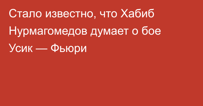 Стало известно, что Хабиб Нурмагомедов думает о бое Усик — Фьюри