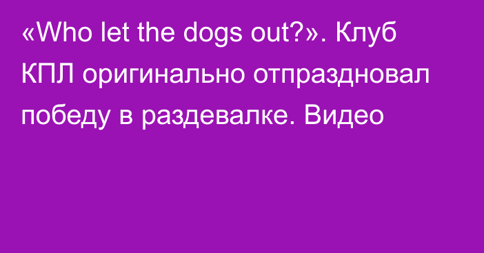 «Who let the dogs out?». Клуб КПЛ оригинально отпраздновал победу в раздевалке. Видео