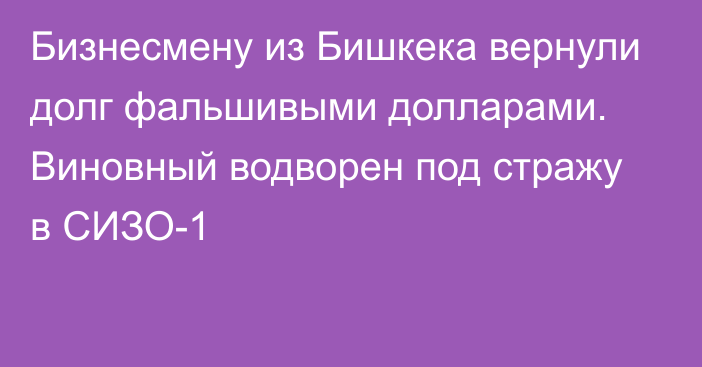 Бизнесмену из Бишкека вернули долг фальшивыми долларами. Виновный водворен под стражу в СИЗО-1