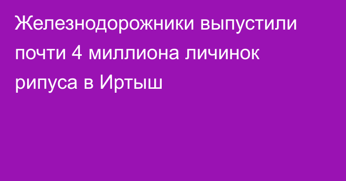 Железнодорожники выпустили почти 4 миллиона личинок рипуса в Иртыш