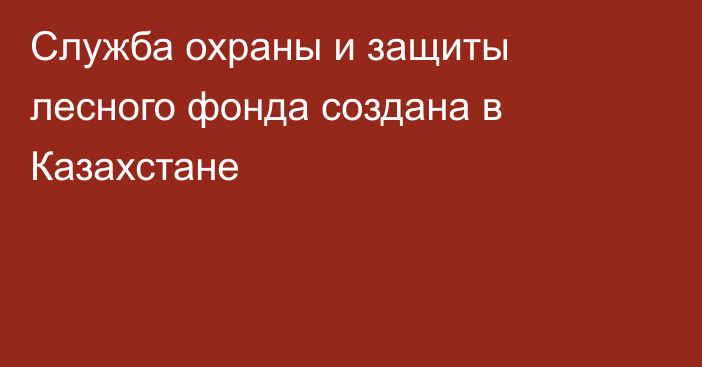 Служба охраны и защиты лесного фонда создана в Казахстане