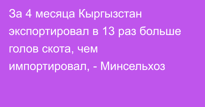 За 4 месяца Кыргызстан экспортировал в 13 раз больше голов скота, чем импортировал, - Минсельхоз 