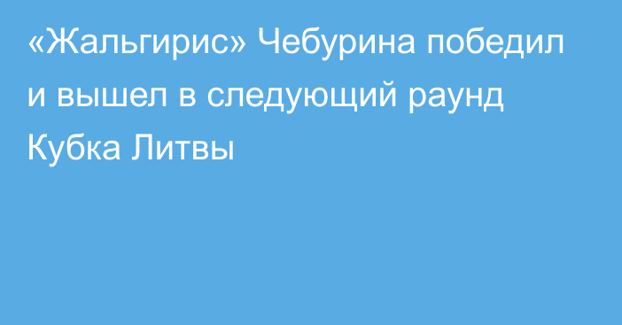 «Жальгирис» Чебурина победил и вышел в следующий раунд Кубка Литвы