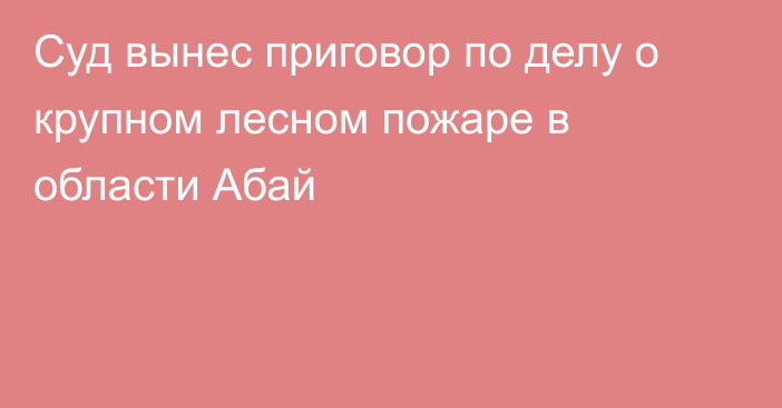 Суд вынес приговор по делу о крупном лесном пожаре в области Абай