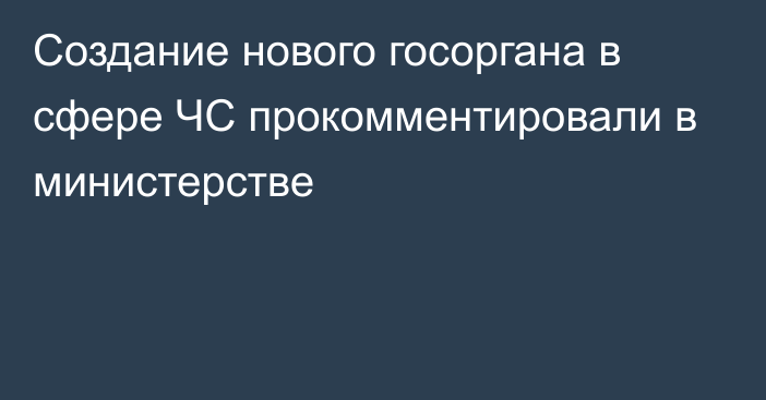 Создание нового госоргана в сфере ЧС прокомментировали в министерстве