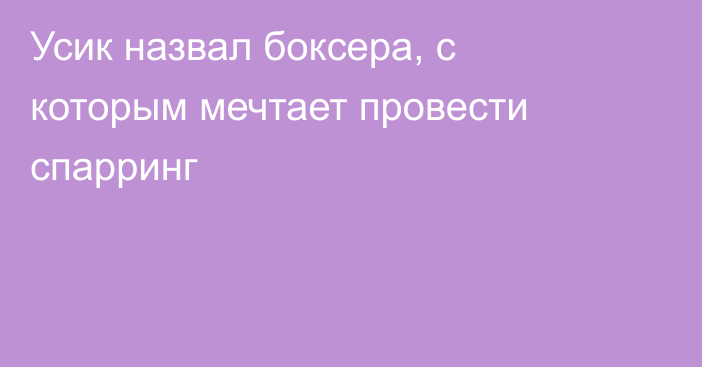 Усик назвал боксера, с которым мечтает провести спарринг