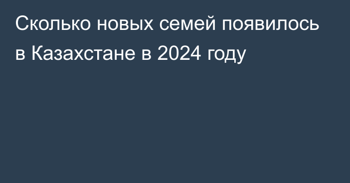 Сколько новых семей появилось в Казахстане в 2024 году