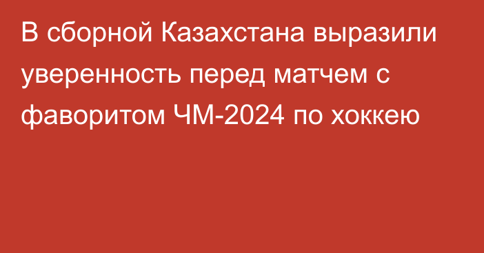 В сборной Казахстана выразили уверенность перед матчем с фаворитом ЧМ-2024 по хоккею