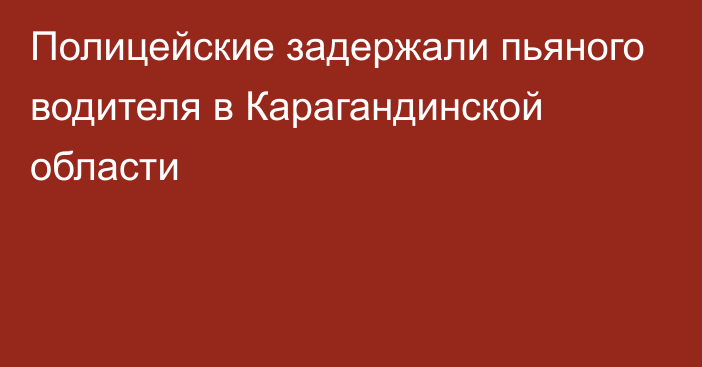 Полицейские задержали пьяного водителя в Карагандинской области