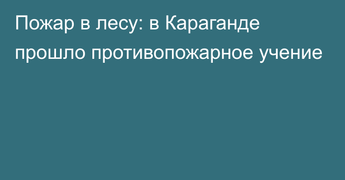 Пожар в лесу: в Караганде прошло противопожарное учение