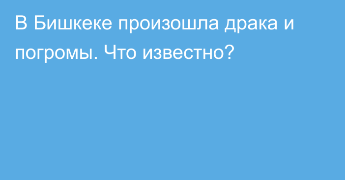 В Бишкеке произошла драка и погромы. Что известно?